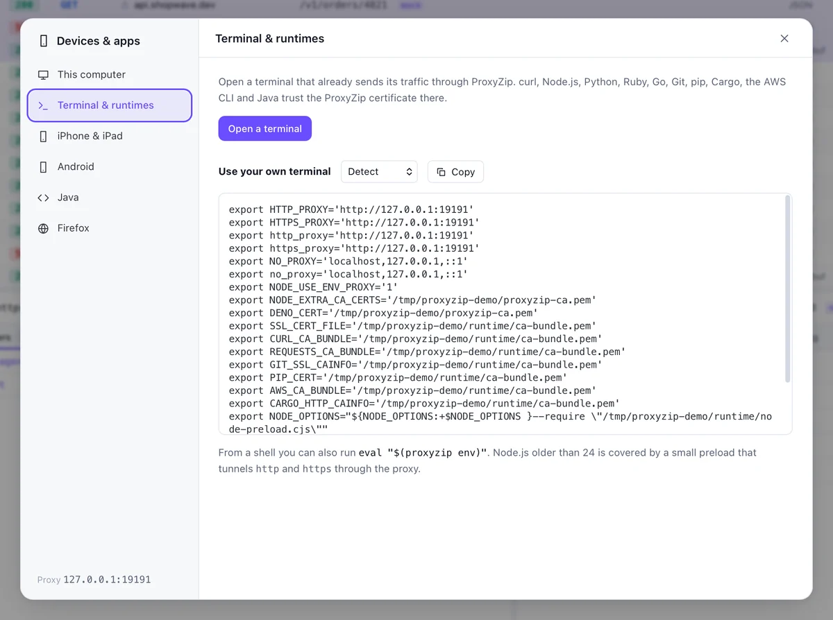 The Devices and apps window with terminal and runtime environment variables